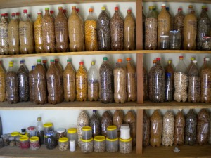 Foto: garrafas pet cheias de sementes em uma prateleira