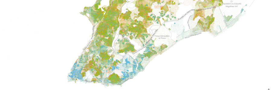 Site apresenta mapa interativo racial do Brasil