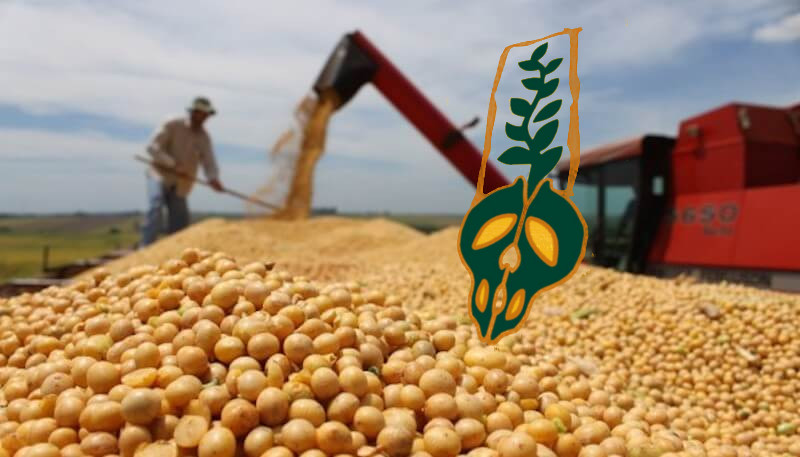 Monsanto não poderá patentear sementes na Argentina